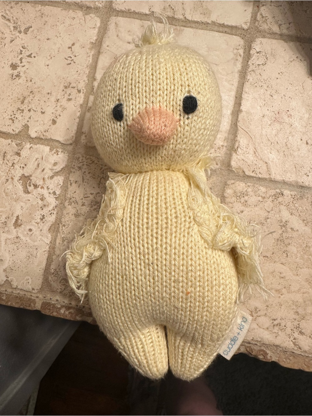 Cuddle + kind baby duckling